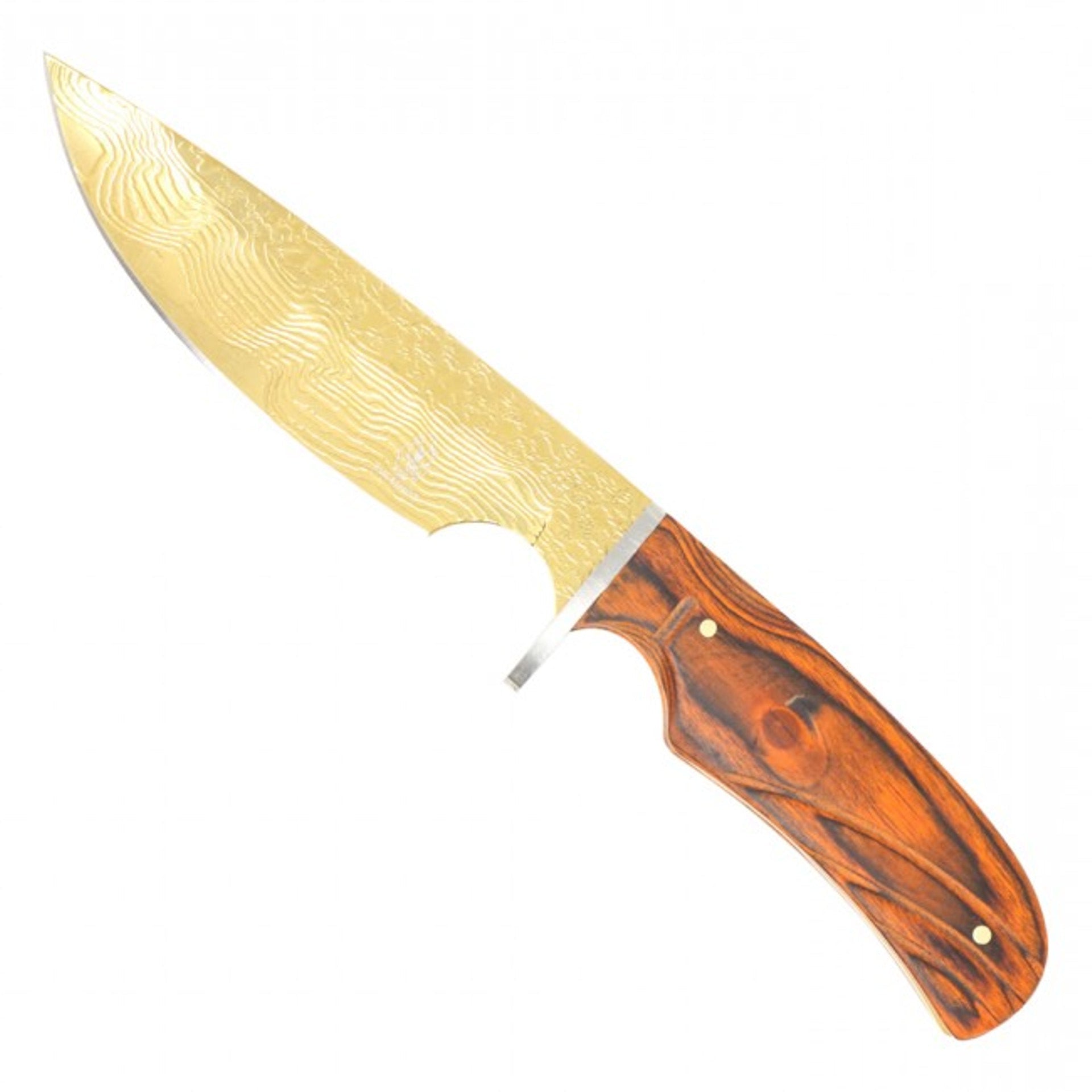 10" Fixed Blade Hunting Knife - HBK201GD