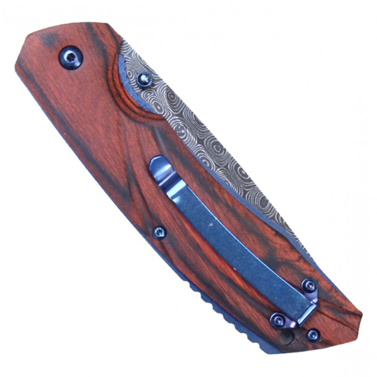 Buckshot Knives Thumb Open Spring Assisted Tanto Cleaver Pocket Knife